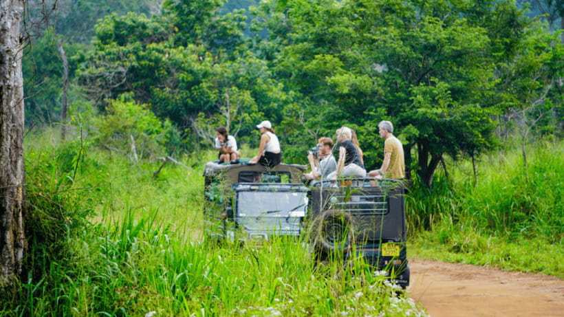Sigiriya Rock Hike & Minneriya Elephant Safari – Day Tour - The Kaudulla photo stop: short, but potentially useful