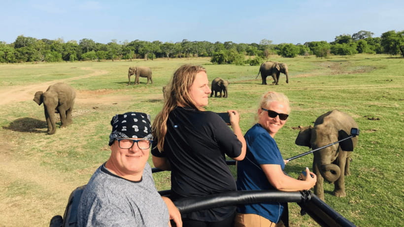 Sigiriya Rock Hike & Minneriya Elephant Safari – Day Tour - Who this tour fits best