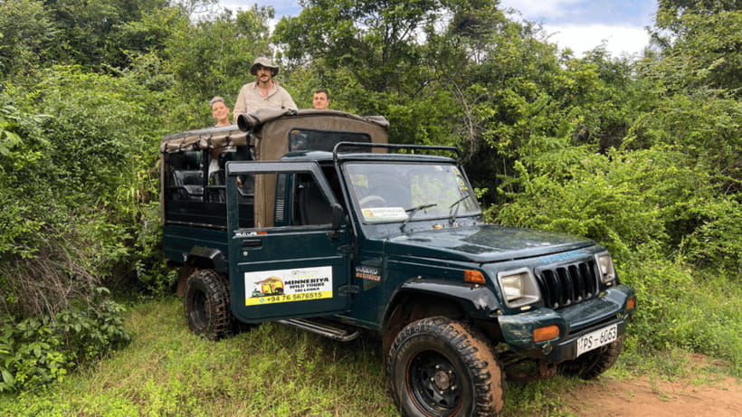 Sigiriya Rock Hike & Minneriya Elephant Safari – Day Tour - Tips to get more out of Sigiriya and Minneriya