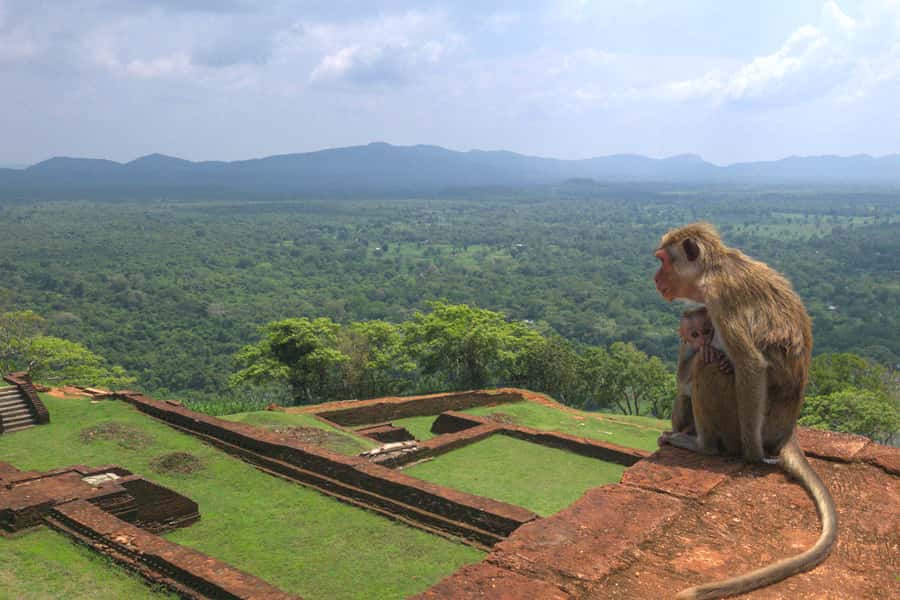 Sigiriya: Sigiriya or Pidurangala Sunrise/Sunset Hike - Price and Value: What the $28 Covers, and What to Budget