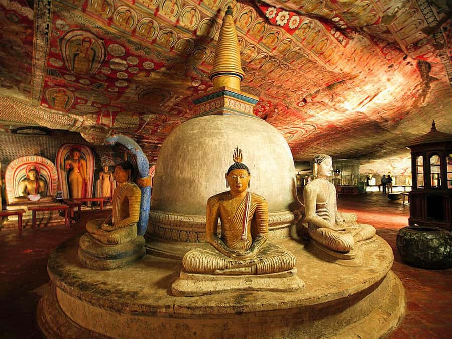 Sigiriya: Sigiriya or Pidurangala Sunrise/Sunset Hike - Pickup From Dambulla, Kandalama, or Habarana, Then Straight to the Rock
