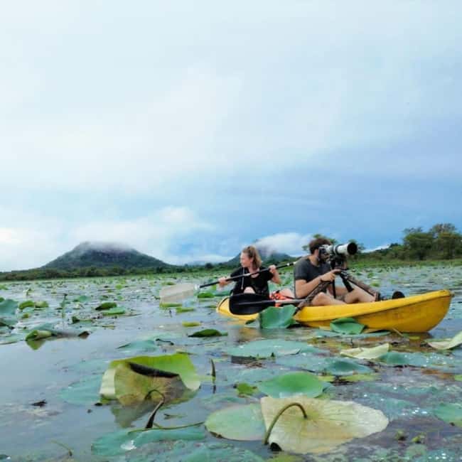 Sigiriya: Sunrise or Sunset Kayaking Tour - Sunrise vs. Sunset: When the Rocks Look Their Best