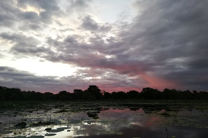 Sigiriya Sunrise/Sunset Guided Boat Ride - The guide, Kashyapa era stories, and how birding stays fun