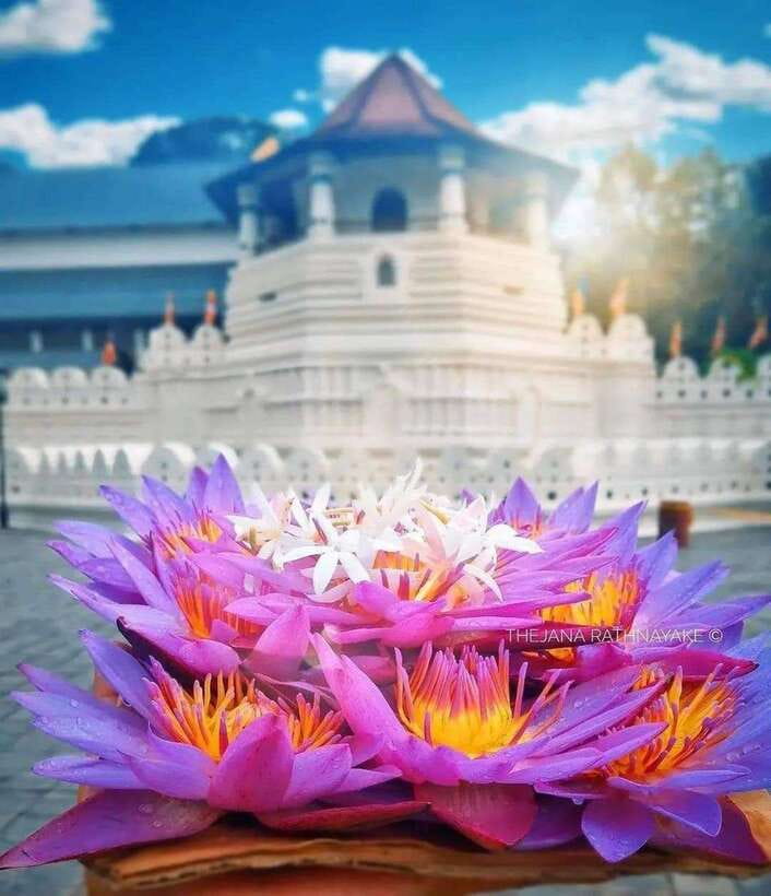 Sigiriya To Kandy Private Transfer: Visit Dambulla Temple - Key Things to Know Before You Go