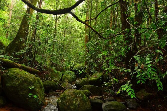 Sinharaja Rain Forest Guided Day Tour - Gin Ganga border walk: river time without a separate trip