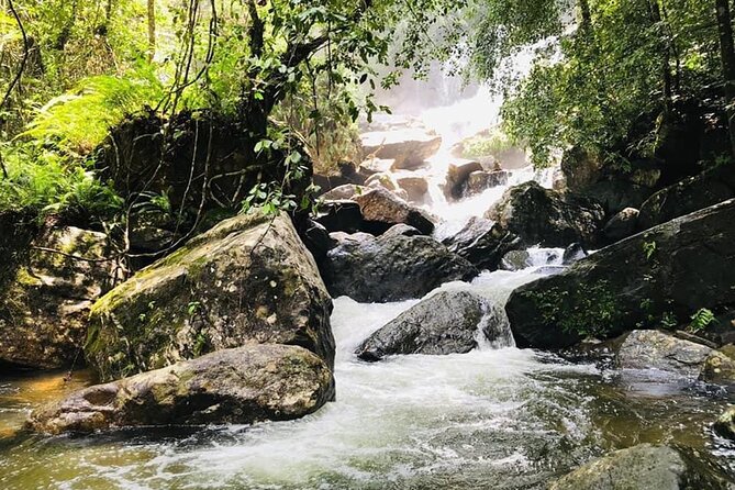 Sinharaja Rain Forest Guided Day Tour - Snacks, lunch, and bottled water that keep the day realistic