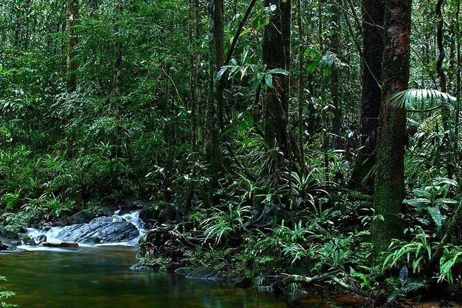 Sinharaja Rain Forest Guided Day Tour - Entering the Sinharaja Forest Reserve the right way