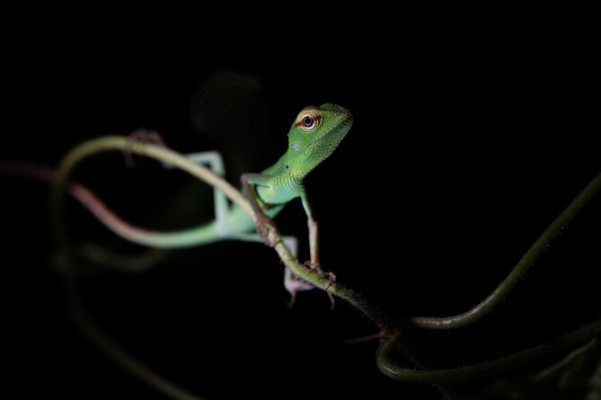 Sinharaja Rainforest Day Tour By Rainforest Expedition - Stop by stop, how the day flows through entrance and reserve