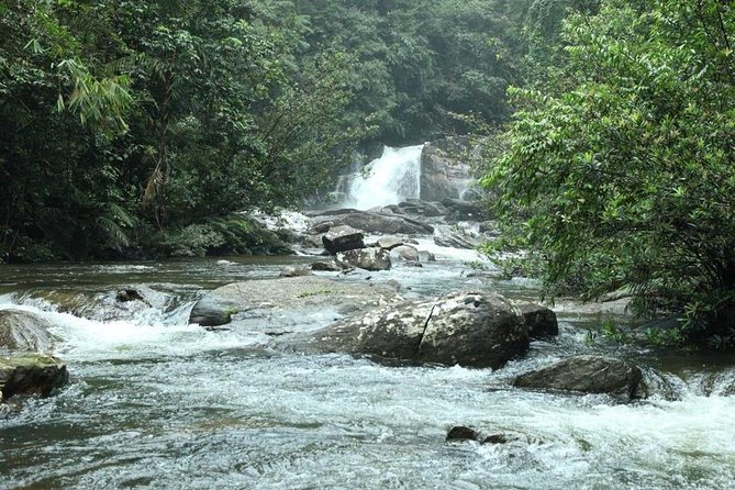 Sinharaja' rainforest - Discovery Tour (half day) - Key things I’d plan around