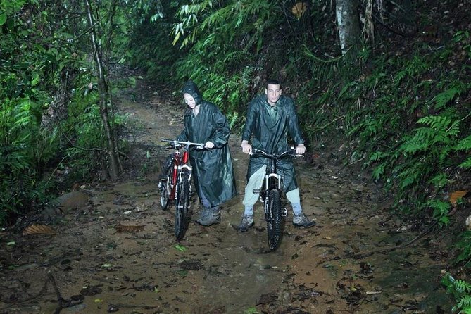 Sinharaja' rainforest - Discovery Tour (half day) - Sinharaja Forest Reserve: a rainforest hike with real breathing room
