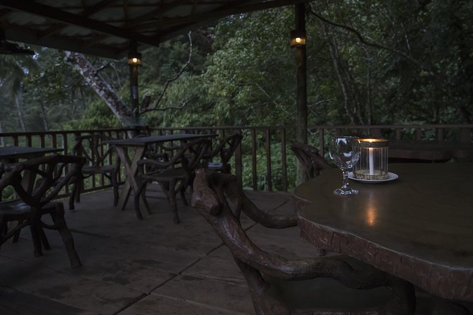 Sinharaja' rainforest - Discovery Tour (half day) - Wildlife spotting works best when you slow down, look up, and scan