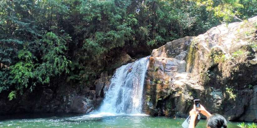 Sinharaja Rainforest Private & Customize Tour - From hotel to crew meeting: what happens before the jungle walk