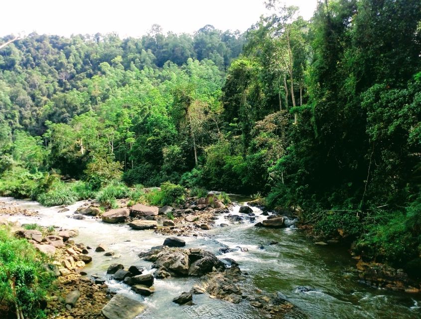 Sinharaja Rainforest Private & Customize Tour - Entering the forest main gate: your wildlife tracker is the real value