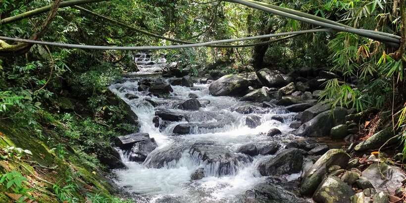 Sinharaja Rainforest Private & Customize Tour - Transport comfort and private pacing: what it means on the ground