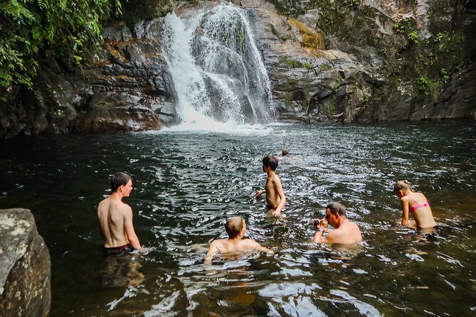 Sinharaja Rainforest Private Half Day Tour with Licensed Guide - Key highlights you’ll actually feel