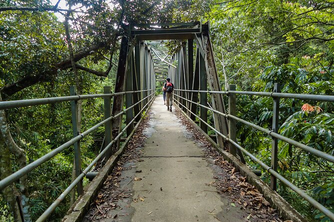 Sinharaja Rainforest Private Half Day Tour with Licensed Guide - Birds, butterflies, snakes, and mushrooms: what your guide helps you spot