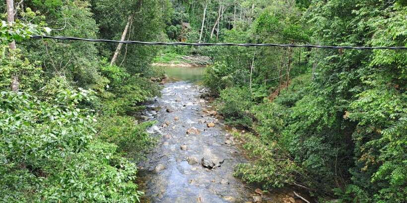 Sinharaja Rainforest Tour - Service Details That Matter: Drivers, Guides, and Real Communication