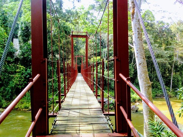 Sinharaja Rainforest Tour - The morning run from Galle area hotels to Sinharaja