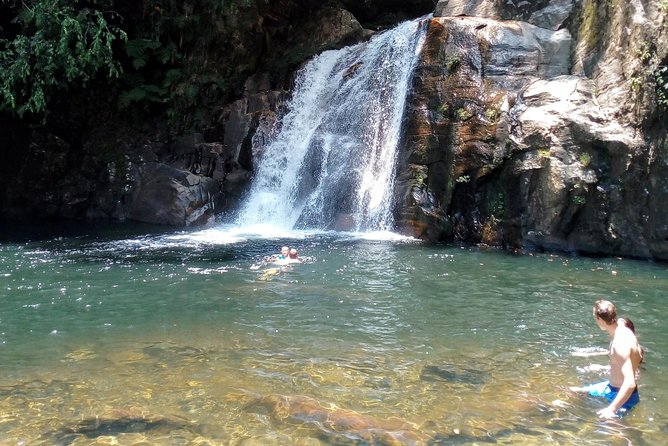 Sinharaja Rainforest Tour - The waterfall swim stop: the bonus solo travelers usually miss