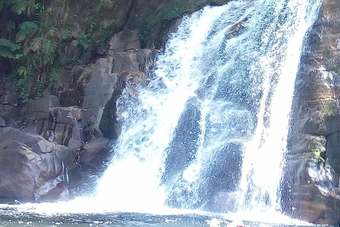 Sinharaja Rainforest Tour - Price and value: is $110 per person fair for this setup?