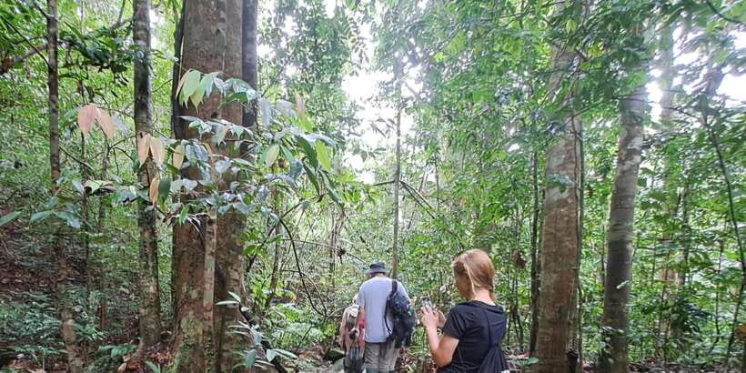Sinharaja Rainforest Tour - Who This Private Sinharaja Tour Fits Best
