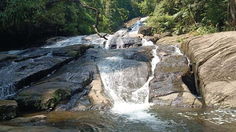 Sinharaja Rainforest: Tour with 5 Waterfalls Trek - Key highlights worth your time