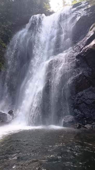 Sinharaja Rainforest: Tour with 5 Waterfalls Trek - Why Sinharaja feels different for a waterfall day