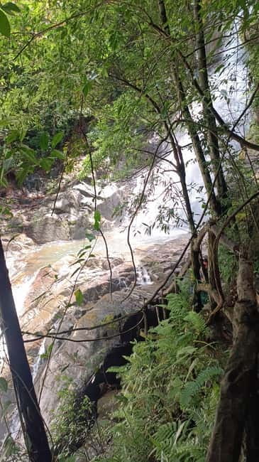Sinharaja Rainforest: Tour with 5 Waterfalls Trek - Inside Sinharaja: the 30 minutes walk, 1 km climb, and 3 hours of guiding