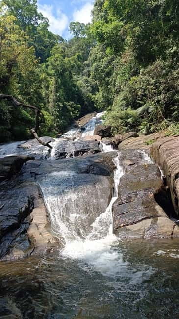 Sinharaja Rainforest: Tour with 5 Waterfalls Trek - Waterfall swimming: what you should bring and how to stay comfortable