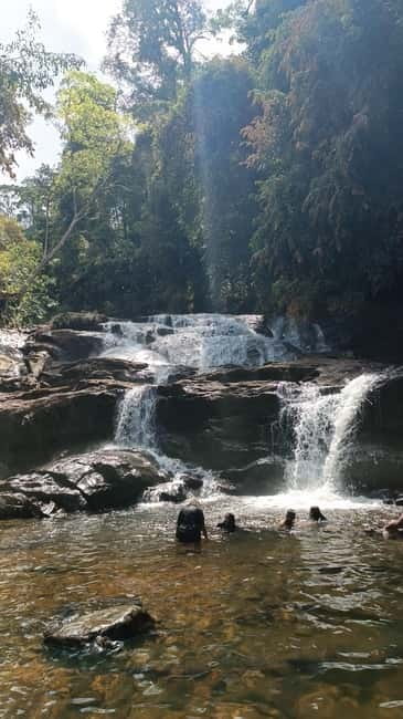 Sinharaja Rainforest: Tour with 5 Waterfalls Trek - Price and value: what $95 really covers