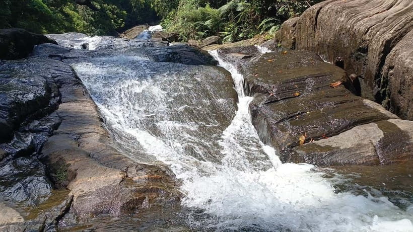 Sinharaja Rainforest: Tour with 5 Waterfalls Trek - Who should book this 5-waterfall trek