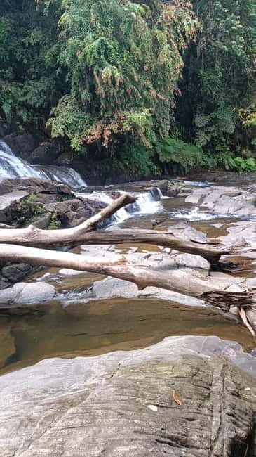 Sinharaja Rainforest: Tour with 5 Waterfalls Trek - Getting there from the coast: timing, pickup, and the ride to Kotapola