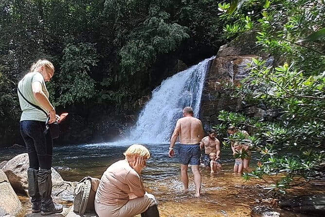Sinharaja Rainforest Trip - Key Highlights You’ll Actually Care About