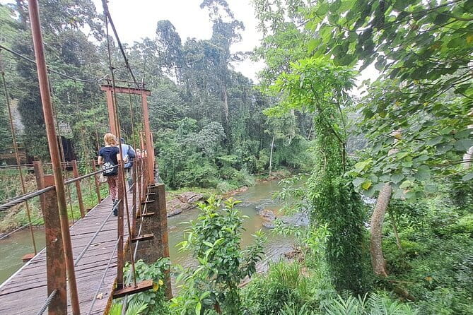 Sinharaja Rainforest Trip - Hotel Pickup and the 8:00 am Start on the Southern Coast