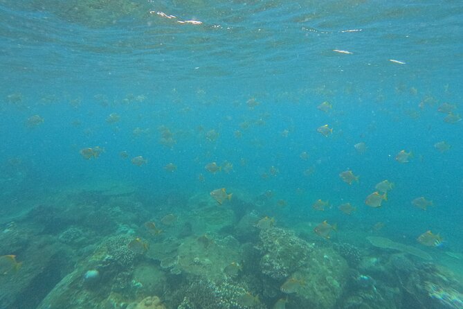 Snorkeling at Angel Rock - Angel Rock near Nilaveli: why this spot is worth your time