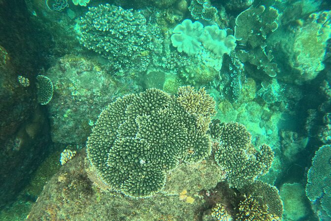 Snorkeling at Angel Rock - Gear, bottled water, and how to prep like a pro