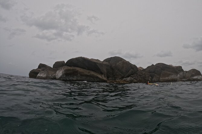 Snorkeling at Angel Rock - Group tour versus private boat: pick your vibe