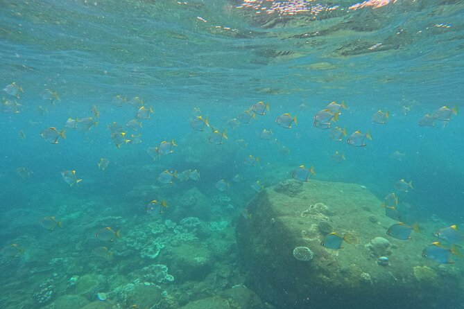 Snorkeling at Angel Rock - The 2-hour plan, including the boat ride