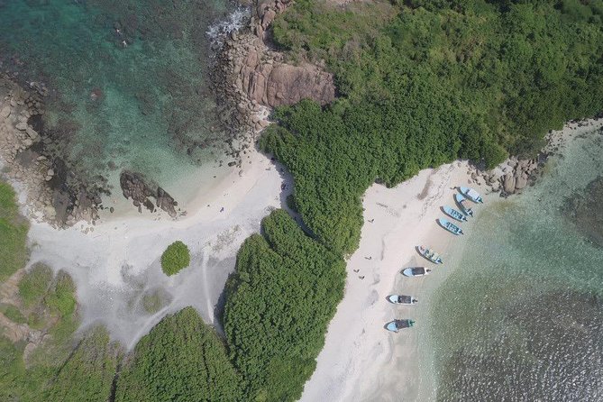 Snorkeling at Pigeon Island - The 3-hour plan at Pigeon Island: boat to reef, then back again