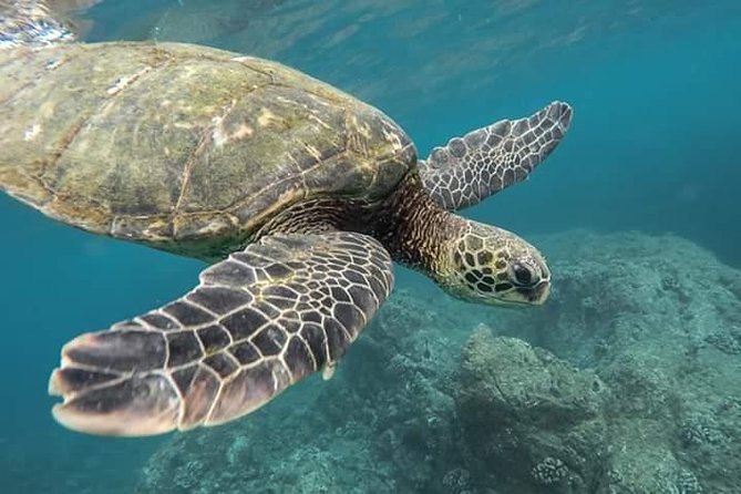 Snorkeling at Pigeon Island - Where you start: meeting points, short hops, and transfer choices