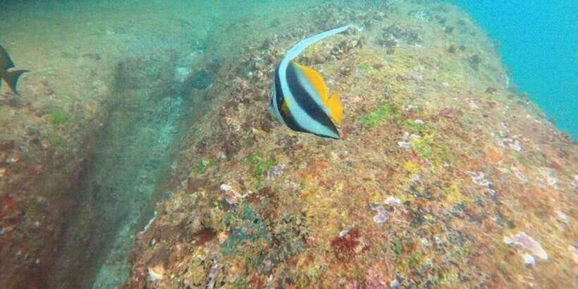 Snorkeling in Hikkaduwa - Should You Book Snorkeling in Hikkaduwa?