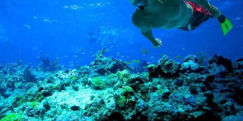 Snorkeling in Trincomalee - Boat ride, reef stops, and how the timing usually works