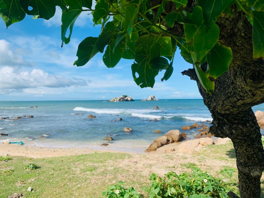 Snorkeling in Trincomalee - Price and value: is $57 per person fair?