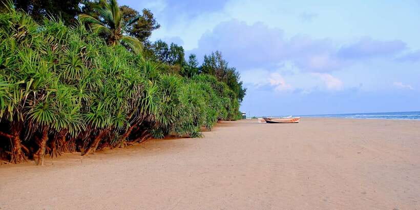 Snorkeling in Trincomalee - When to go in Trincomalee, May to October
