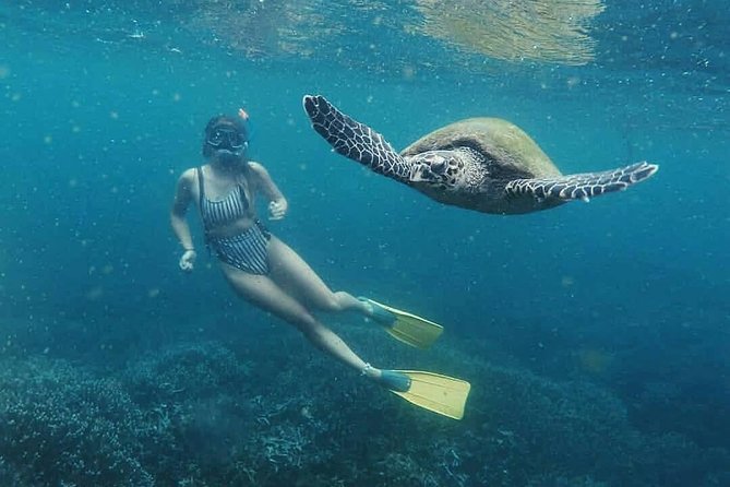 Snorkeling in Unawatuna - Key takeaways before you book