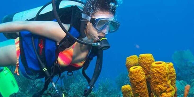 Snorkeling Trip from Polhena Beach, Matara, Sri Lanka - Polhena Beach, Matara Coast, and the 90-Minute Snorkel Plan