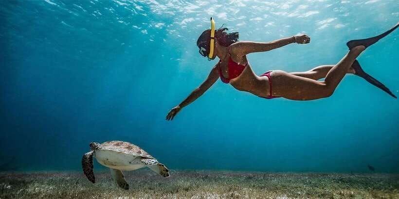 Snorkeling Trip from Polhena Beach, Matara, Sri Lanka - Where You Meet (and the First Stop That Sets the Tone)