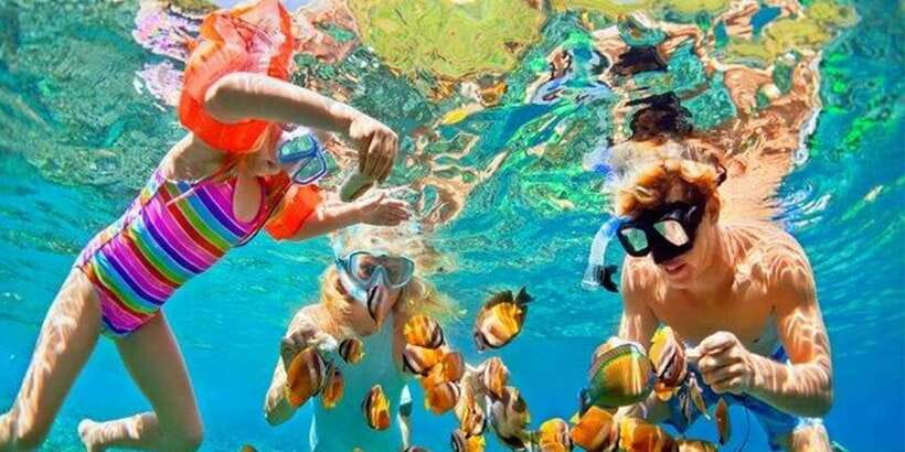 Snorkeling Trip from Polhena Beach, Matara, Sri Lanka - Turtles, Fish, and the Real Point of the Tour