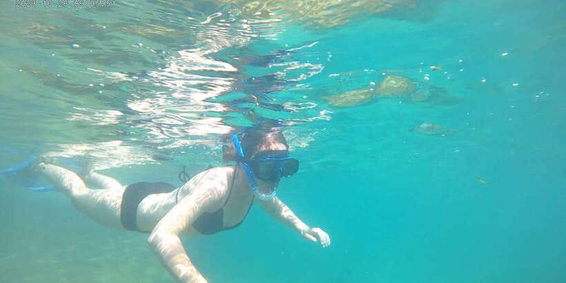 Snorkeling Trip from Polhena Beach, Matara, Sri Lanka - What Happens During the 1.5 Hours in Real Terms