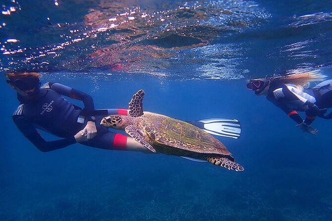 Snorkeling Trip To Pigeon Island - The 3-hour snorkel window: how to make your time count